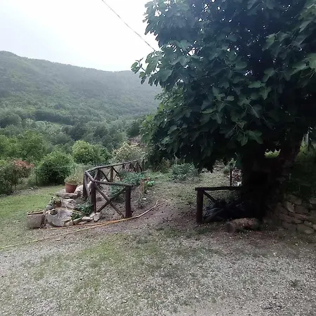 La Caciaia Di Bulcianella *